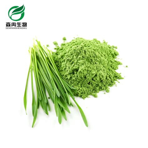 Barley Grass Powder - Xi'an SR Bio-Engineering Co.,Ltd