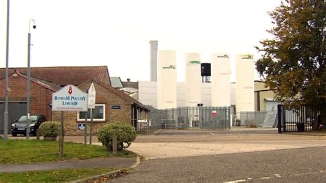 Coronavirus: Norfolk gets 'enhanced support' after Banham Poultry ...