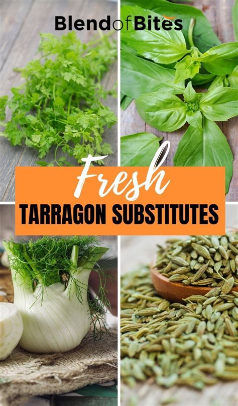 Fresh Tarragon Substitutes | Blend of Bites in 2021 | Food ...
