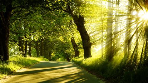 road, Nature Wallpapers HD / Desktop and Mobile Backgrounds