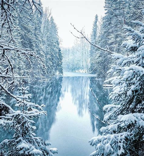 Finnish Photographer Shows The Beauty Of Fairy Forests In Finland