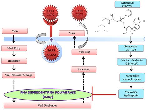 Frontiers | Remdesivir and Its Combination With Repurposed Drugs as ...