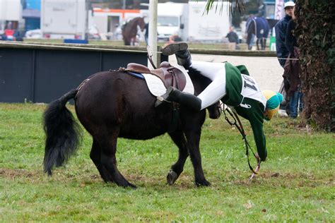 Riding Fail… Funny Horse Falls (Sorry!) – Horse Junkies United