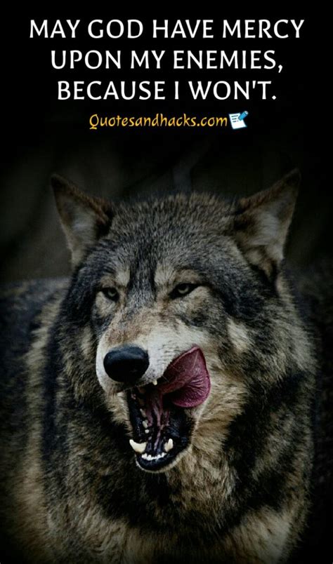 30 Lone wolf quotes that will trigger your mind