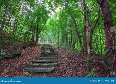 Mountain trail stock photo. Image of green, quartzite - 62509280