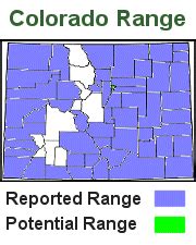 Rattlesnakes In Colorado Map – Interactive Map