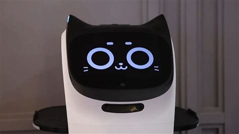 Cat-like robot waiter purrrfectly cheers up cafe customers - Good Morning America