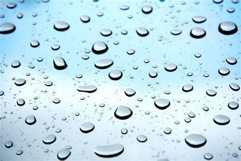 Free picture: rain, wet, dew, bubble, liquid, turquoise, raindrop, purity