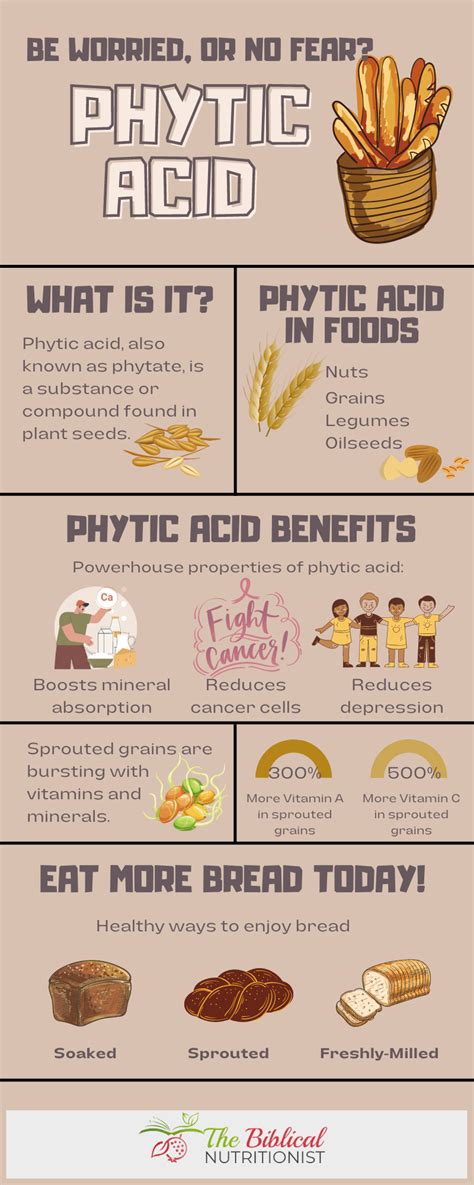 Phytic Acid in Bread, Grains and Beans: Be Worried or No Fear?