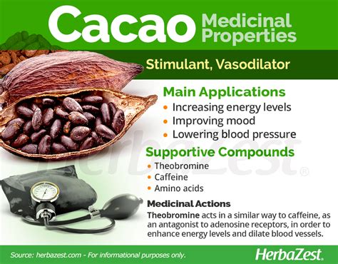 Cacao | HerbaZest