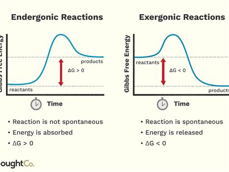 Endergonic Reaction Graph