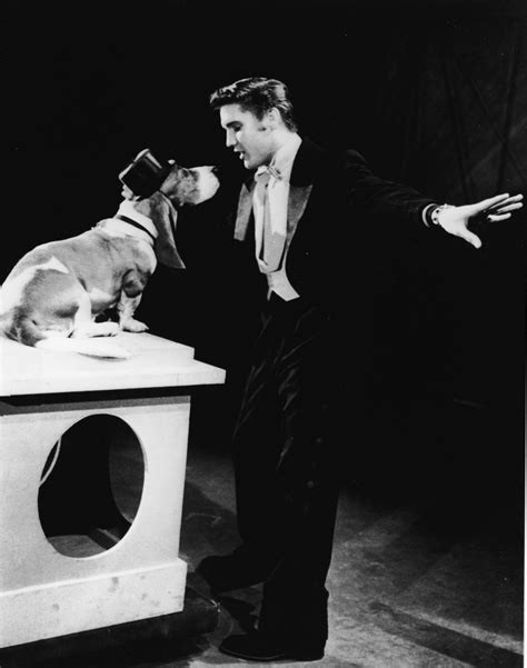 Elvis Presley Sings 'Hound Dog' To Hound Dog