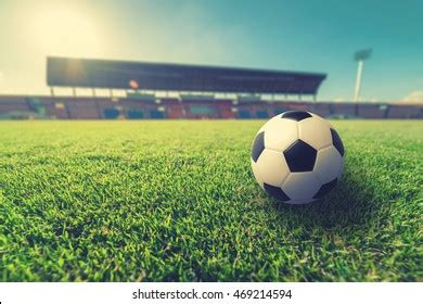 Green Grass Soccer Stadium Stock Photo 469214594 | Shutterstock