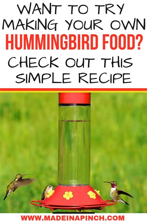 Easiest Homemade Hummingbird Food Recipe (2-Ingredients!) | Recipe ...