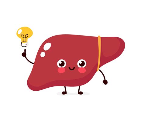 Bad Habits That Can Hurt Your Liver — Plus More on Liver Health | Flipboard