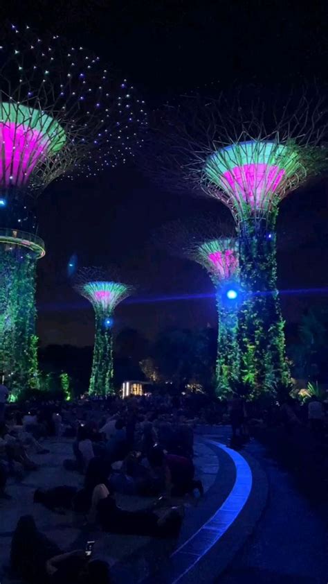 Gardens by the Bay light show in Singapore 🇸🇬 : An immersive guide by F_Boy