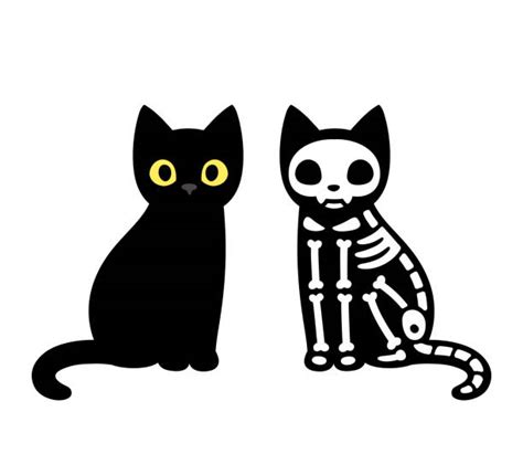 Animal Skeleton Illustrations, Royalty-Free Vector Graphics & Clip Art ...