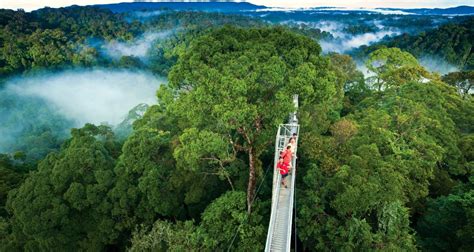 10 Amazing National Parks In Malaysia - TravelTourXP.com