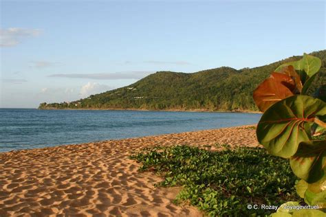 Sand ripples, Grande Anse beach, Deshaies - Guadeloupe