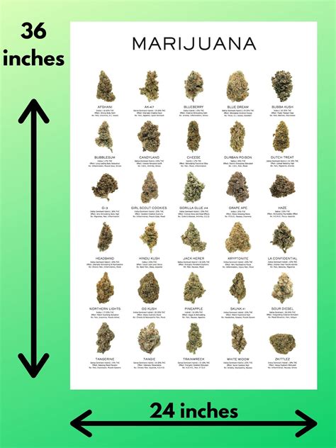 Different Types Of Weed Chart