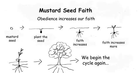 Getting To Know God: Mustard Seed Faith