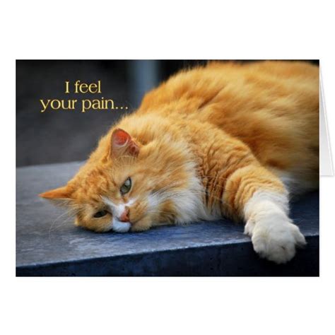 I Feel Your Pain -- Feel Purr-fect Soon Orange Cat Greeting Card | Zazzle