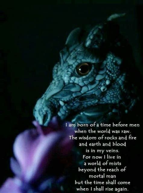 Powerful Quotes About Dragons for All Dragon Lovers | Dragon dreaming, Dragon lover, Dragon pictures