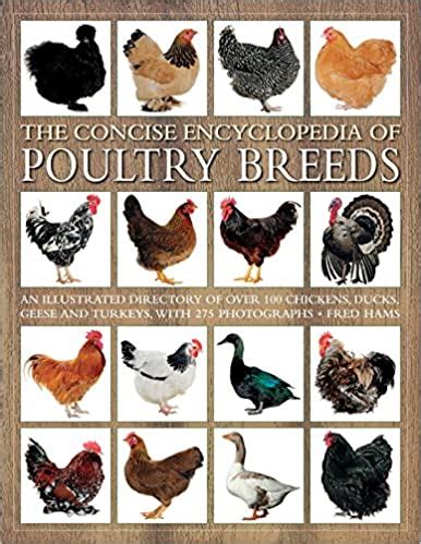 The Concise Encyclopedia of Poultry Breeds: An Illustrated Directory of ...