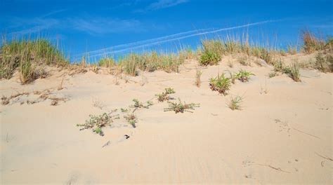 Visit Fenwick Island State Park: Best of Fenwick Island State Park ...