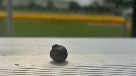 Fans mixed on Saskatoon baseball team's new name | CTV News