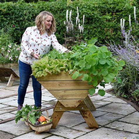 Wooden Plant Trough - Raised Planters at Harrod Horticultural