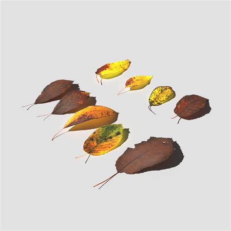 ArtStation - Dry Cherry Leaves Pack | Resources