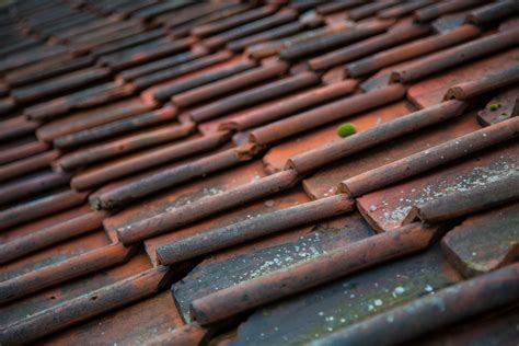 Roof Free Stock Photo - Public Domain Pictures
