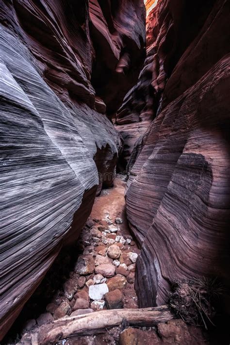 Buckskin Gulch Slot Canyon at Wire Pass Trail, Kanab, Utah Stock Image - Image of outdoor ...