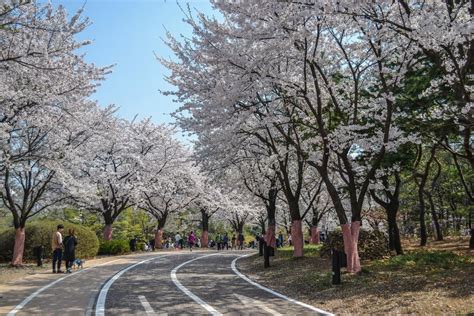 Beautiful Lake Park in Gyeonggi-do : korea