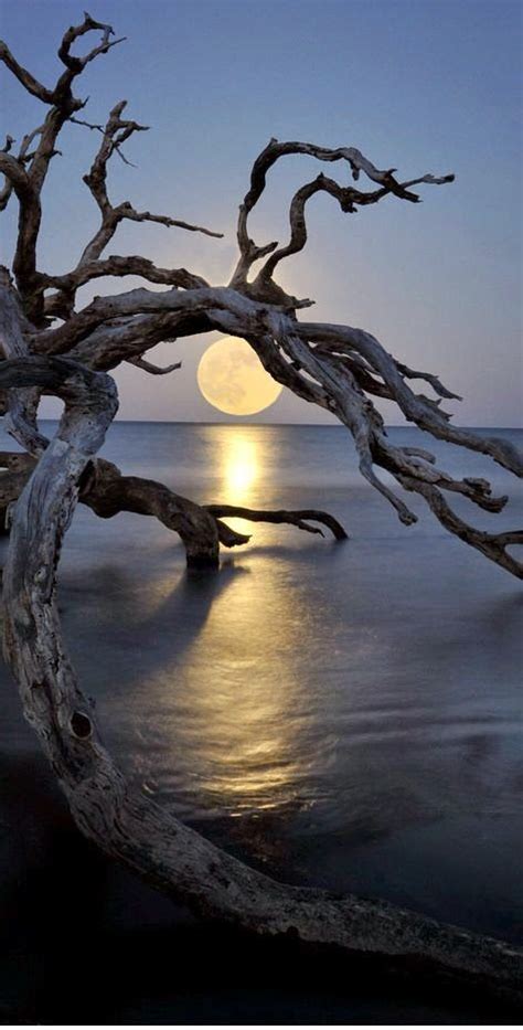 Fabulous Full Moon Photography To Keep You Fascinated - Bored Art