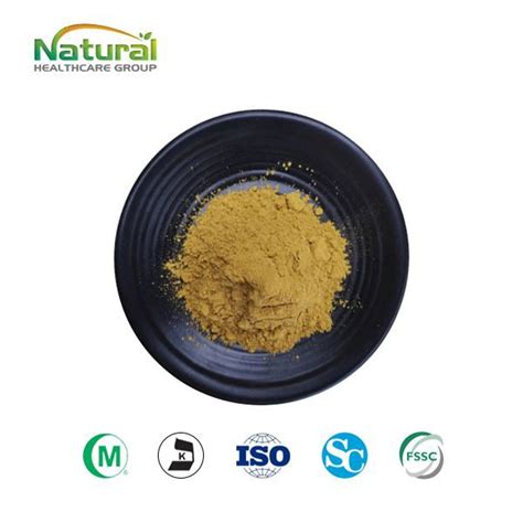 China Houttuynia Cordata Extract Powder Manufacturers Suppliers Factory ...