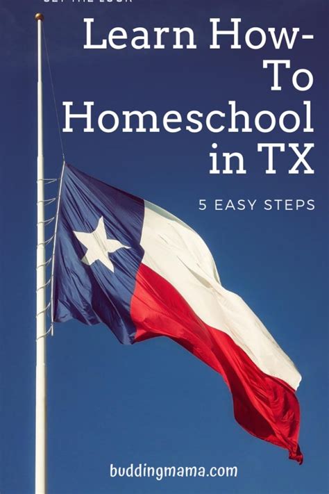 Learn How-To Homeschool in Texas- in Just 5 Easy Steps – Budding Mama