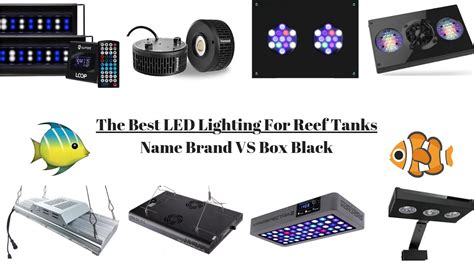 The 12 Best LED Lighting For Reef Tanks Of 2024 - Tested And Reviewed - AquariumStoreDepot