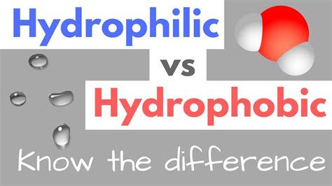 Hydrophilic vs Hydrophobic | Substances | Cell Membranes | Your ...