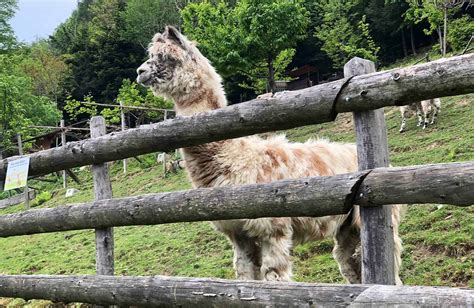 Trekking in the Dolomites | SONO Experiences