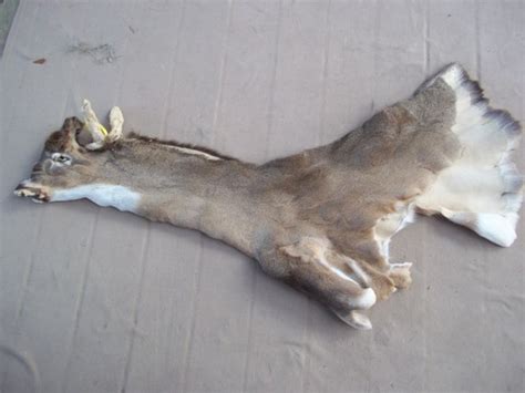 Real animal deer hide cape fur tanned rug leather craft good