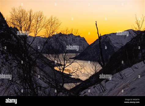 Winter scenery of Senja in Norway Stock Photo - Alamy