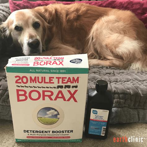 Ted's Borax Cure for Mange - 212 Reviews - Earth Clinic®