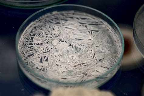 How to Make Potassium Nitrate Crystals