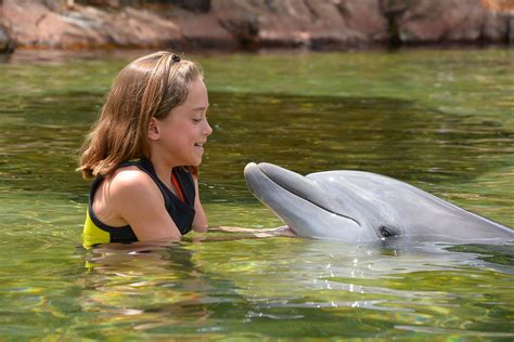 Details on Swimming with Dolphins at Discovery Cove #DiscoveryCove ...