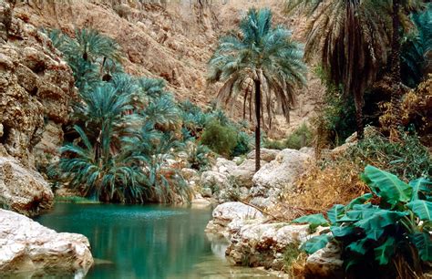 The best way to explore Wadi Shab, Oman • The Travel Escape