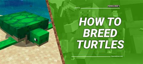 Breeding Turtles in Minecraft: Step-by-Step Instructions