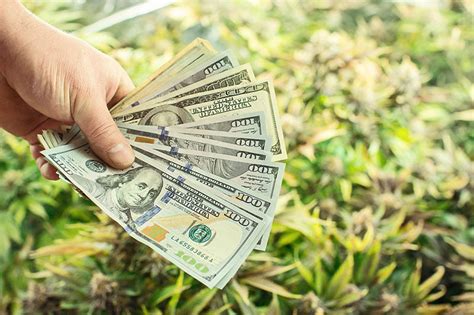 🥦💰Master Grower Salary ($104,000 Avg. July 2020) - How Much Do Weed Growers Make? – Production ...