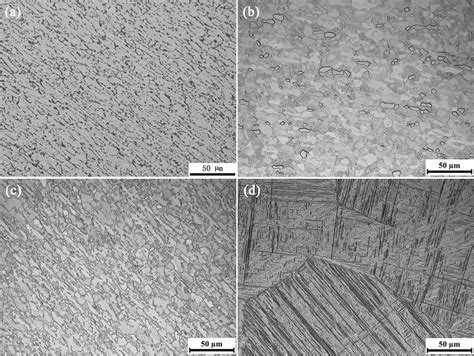 Microstructure of Ti-6Al-4V with different heat treatment temperature ...